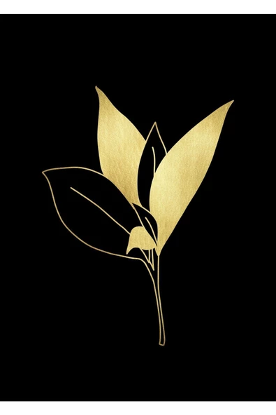 Harikabirev HARİKABİREV|GOLD-SİYAH ÇİÇEK KOMBİNİ 03|PLEKSİ ÇERÇEVELİ MDF TABLO KRFZ - Resim 2