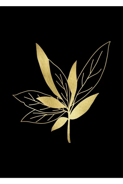 Harikabirev HARİKABİREV|GOLD-SİYAH ÇİÇEK KOMBİNİ 03|PLEKSİ ÇERÇEVELİ MDF TABLO KRFZ - Resim 4