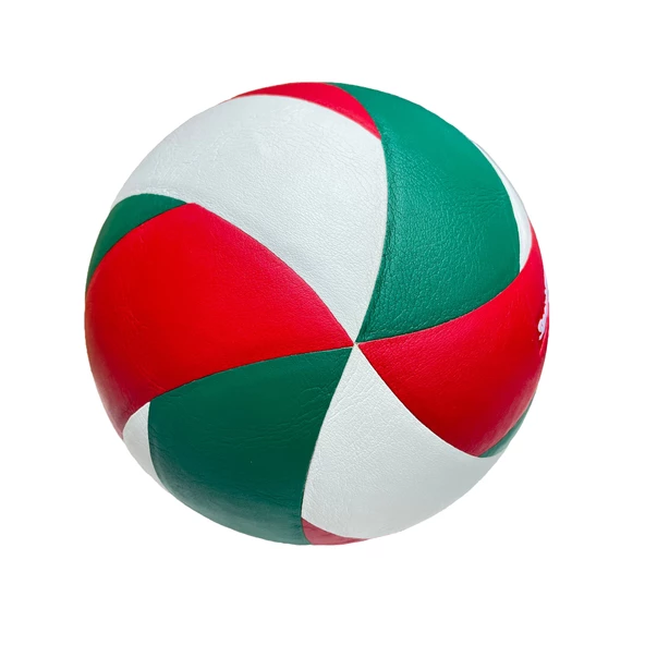 Sportface SF-P07-1 Yüksek Performanslı Yapıştırma Antrenman Voleybol Topu - 2