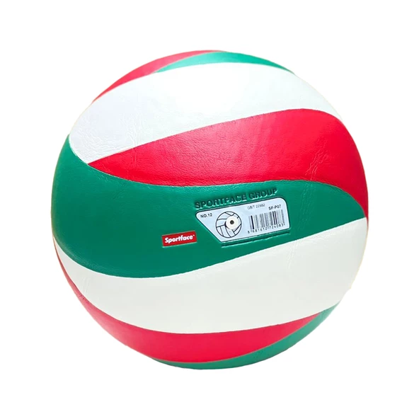 Sportface SF-P07-1 Yüksek Performanslı Yapıştırma Antrenman Voleybol Topu - 3