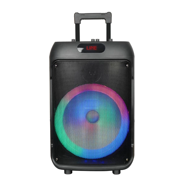 Zore GD-1203 Dijital LED Göstergeli FM Radyolu Mikrofonlu RGB TWS 12 inç Stereo Bass Kablosuz Karaoke Hoparlör - Resim 2