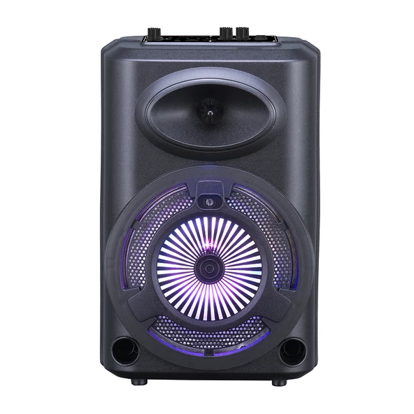 Zore GD-903 Dijital LED Göstergeli FM Radyolu Mikrofonlu RGB TWS 8 inç Stereo Bass Kablosuz Karaoke Hoparlör - Resim 2