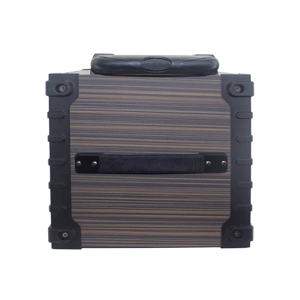 Zore LT-908 Dijital LED Göstergeli FM Radyolu Mikrofonlu TWS 8 inç Stereo Bass Kablosuz Karaoke Hoparlör - Resim 7