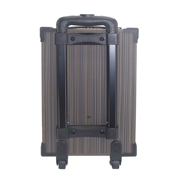 Zore LT-908 Dijital LED Göstergeli FM Radyolu Mikrofonlu TWS 8 inç Stereo Bass Kablosuz Karaoke Hoparlör - Resim 6