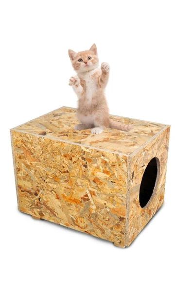 Reyo Kedi Evi Dış Ortam Uygun Ahşap Kedi Evi 34x27x24 cm - 2