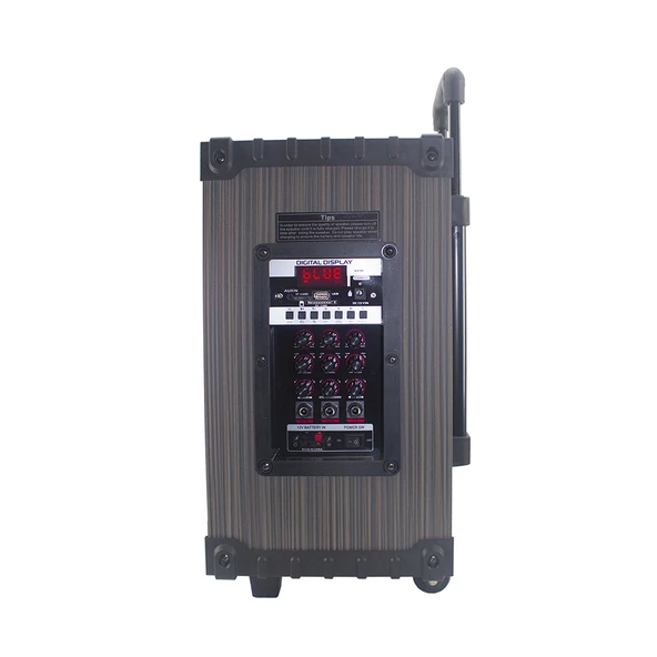 Zore LT-910 Dijital LED Göstergeli FM Radyolu Mikrofonlu Gitar Girişli TWS 10 inç Stereo Bass Kablosuz Karaoke Hoparlör - Resim 7