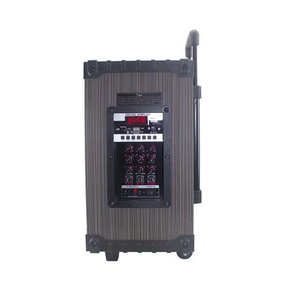 Zore LT-908 Dijital LED Göstergeli FM Radyolu Mikrofonlu TWS 8 inç Stereo Bass Kablosuz Karaoke Hoparlör - Resim 5