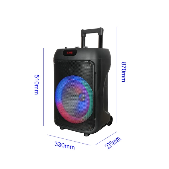 Zore GD-1203 Dijital LED Göstergeli FM Radyolu Mikrofonlu RGB TWS 12 inç Stereo Bass Kablosuz Karaoke Hoparlör - Resim 7