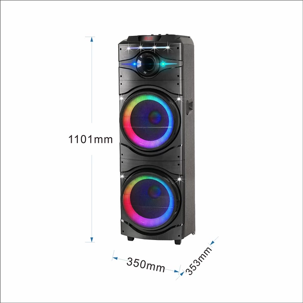 Zore GD-2016 Dijital LED Göstergeli FM Radyolu Mikrofonlu RGB TWS Çift 12 inç Stereo Bass Kablosuz Karaoke Hoparlör - Resim 12