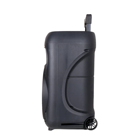 Zore GD-1203 Dijital LED Göstergeli FM Radyolu Mikrofonlu RGB TWS 12 inç Stereo Bass Kablosuz Karaoke Hoparlör - Resim 4