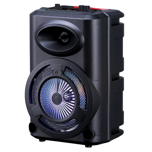 Zore GD-903 Dijital LED Göstergeli FM Radyolu Mikrofonlu RGB TWS 8 inç Stereo Bass Kablosuz Karaoke Hoparlör - Resim 3