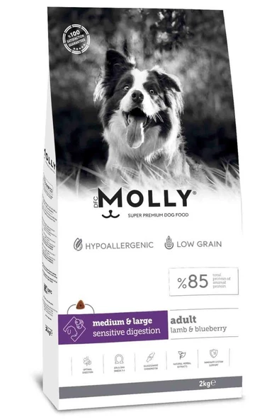 Molly Kuzulu Yabanmersinli Orta ve Büyük Irk Yetişkin Köpek Maması 2 kg