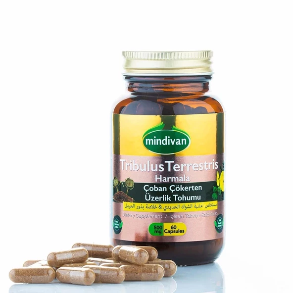 Çoban Çökerten & Üzerlik Tohumu Ekstresi 500 Mg 60 Kapsül