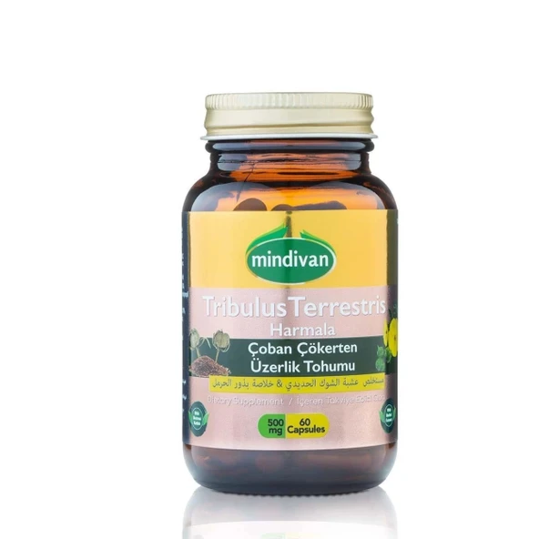 Çoban Çökerten & Üzerlik Tohumu Ekstresi 500 Mg 60 Kapsül - 2
