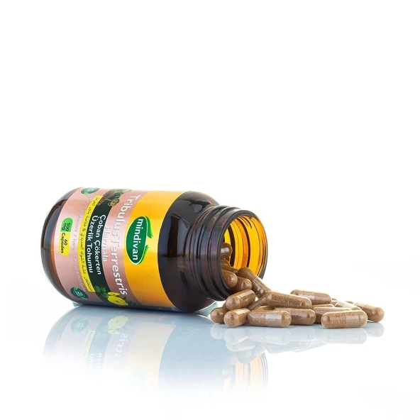 Çoban Çökerten & Üzerlik Tohumu Ekstresi 500 Mg 60 Kapsül - 3