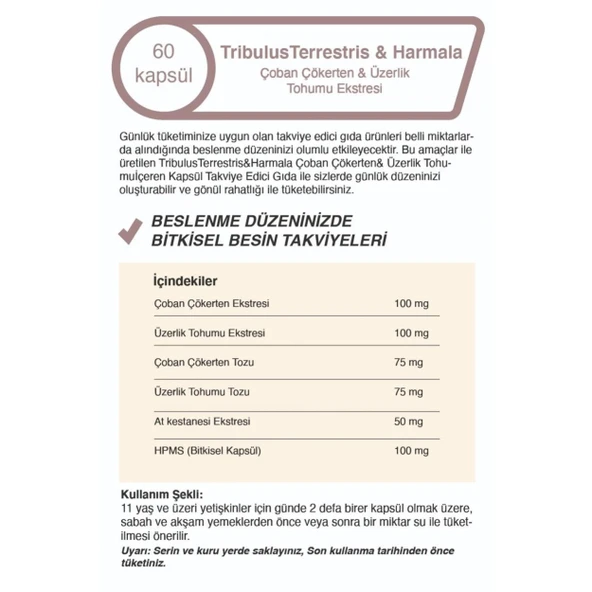 Çoban Çökerten & Üzerlik Tohumu Ekstresi 500 Mg 60 Kapsül - 4