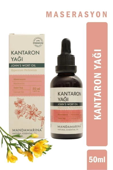 Kantaron Yağı 50 Ml