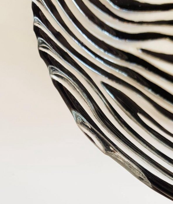 ZEBRA DESENLİ ŞEFFAF SİYAH ÇİZGİLİ CAM YEMEK TABAĞI (Özel Seri) - 4