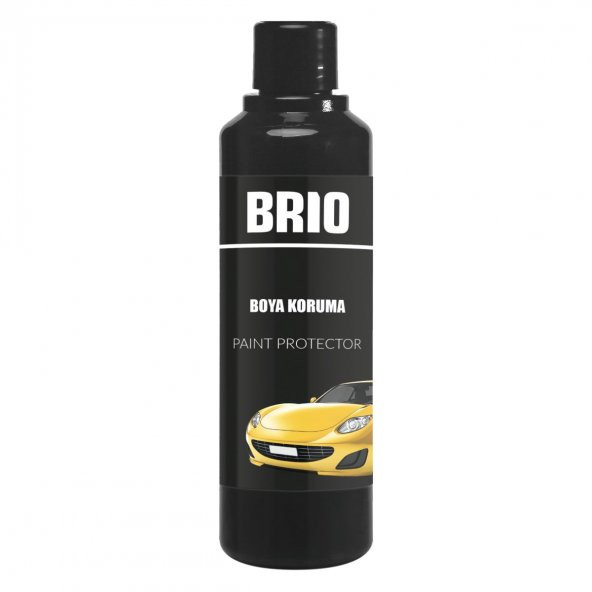 Brio Boya Koruma 250 Ml ürün görseli
