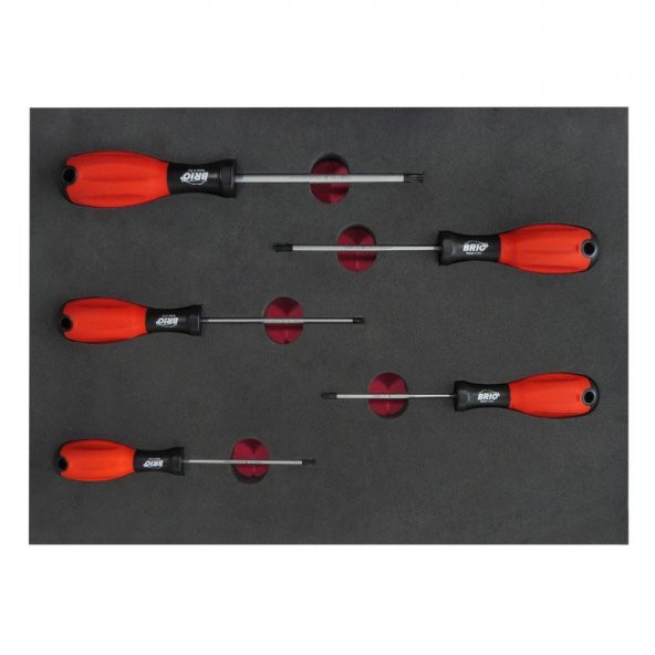 Brio Tornavida Seti Torx (Tork) 5 Parça T10-T30 Sünger Yataklı