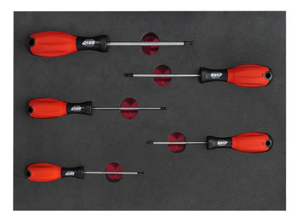 Brio Tornavida Seti Torx (Tork) 5 Parça T10-T30 Sünger Yataklı - 2
