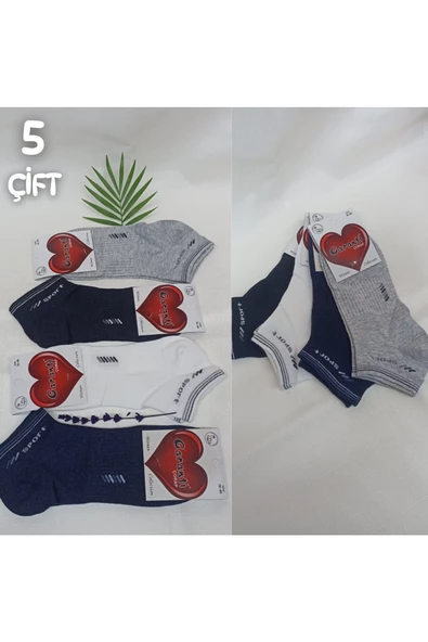 Asçelik  Sport Bayan Patik 5 li - Resim 3