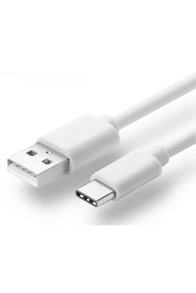 Zilevo Usb Type C Usb 3.1 Hızlı Şarj Data Kablo Usb C Kablo 2 Amper