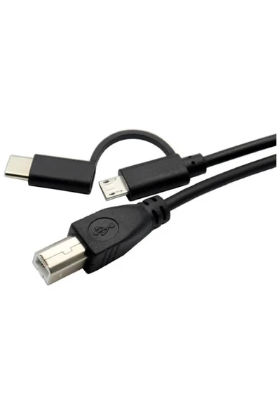 Zilevo Type C + Micro Usb Yazıcı Printer Piyano Midi Bağlantı Kablosu - 4