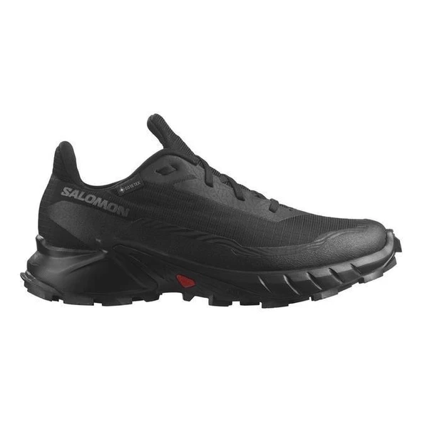 SALOMON ALPHACROSS 5 GTX YÜRÜYÜŞ AYAKKABISI - 4