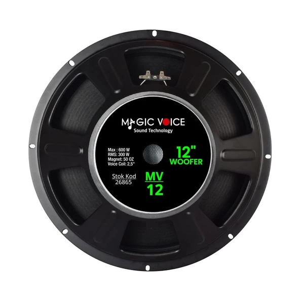 Ayt Magicvoice Mv-12 Max 600W Rms 300 Watt 12 Woofer Yedek Hoparlör - 6