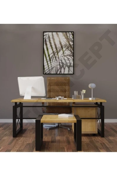 NT Concept Ntconcept Roni Doğal Ahşap Üçlü Ofis ve Çalışma Odası Takımı-220'lık Takım - Resim 2