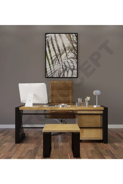 NT Concept Ntconcept Aiw Doğal Ahşap Üçlü Ofis Ve Çalışma Odası Takımı-180'lik Takım)