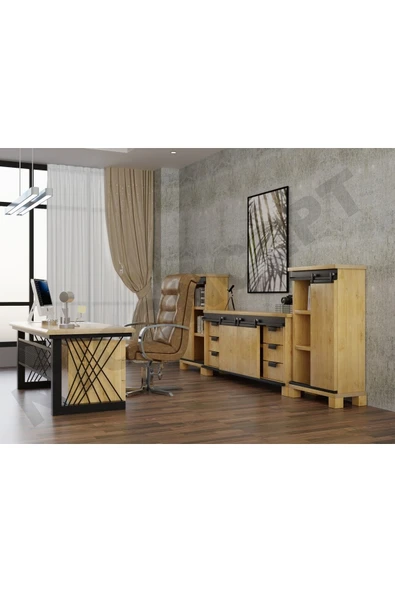 NT Concept Inox Doğal Ahşap Ofis Ve Çalışma Odası Takımı-220'lık Takım ürün görseli 1