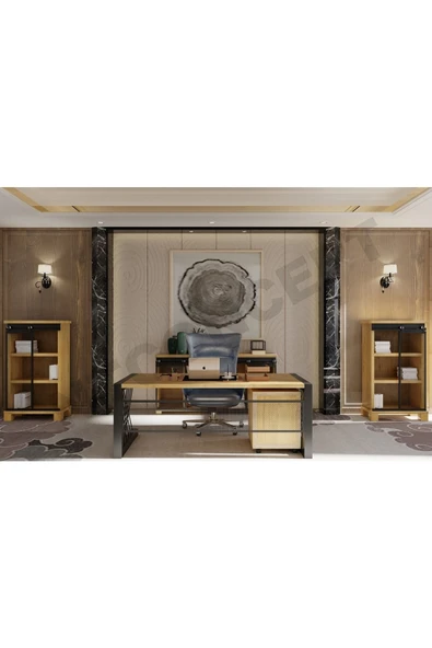 NT Concept Ntconcept Nita Doğal Ahşap Ofis Ve Çalışma Odası Takımı-200'lık Takım ürün görseli 1