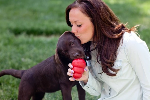 Kong Classic Köpekler İçin Isırma Oyuncağı XS - Resim 5