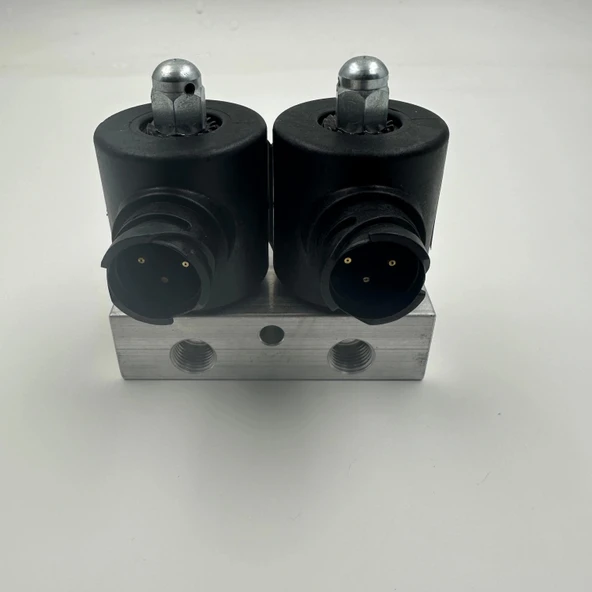 1/4 12V / 24V / İKİLİ DAMPER PNÖMATİK VALF - Resim 3