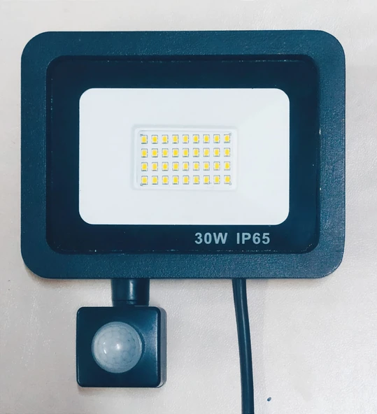 Pelsan Tio 30 W Sensörlü Projektör