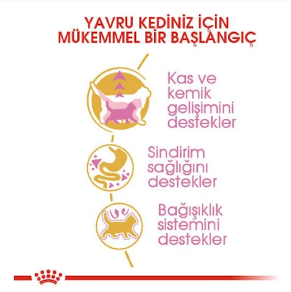 Royal Canin British Shorthair Kitten Yavru Kedi Maması 2 Kg - 4