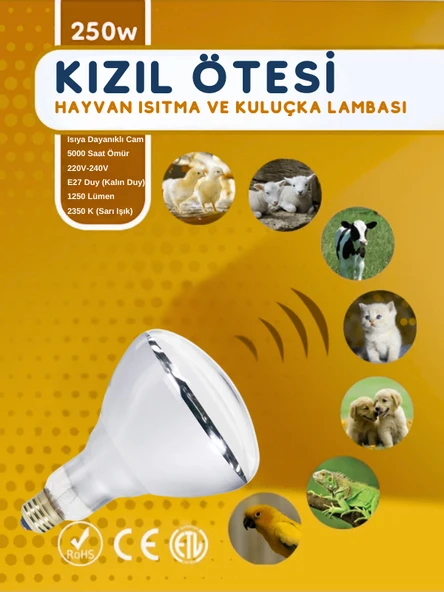 (5 Adet) 250W Kızılötesi (infrared) Isıtıcılı Hayvan Isıtma ve Kuluçka Lambası (Sarı Işık) E27 (Kalın Duy) - 2