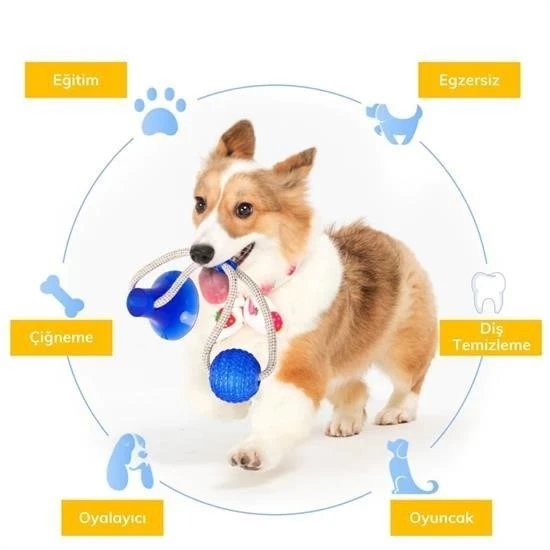 Köpekler İçin Oyuncak Tavuk Budu - Resim 3