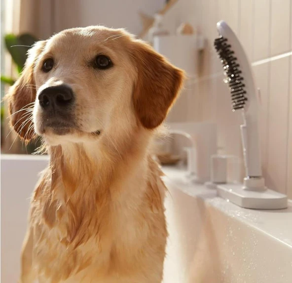 Hansgrohe DogShower Köpek El Duşu 150 3 jet Beyaz 26640700 - 2