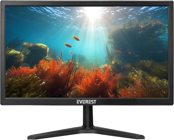Everest M665 19.5" 5 ms LED Monitör Teşhir