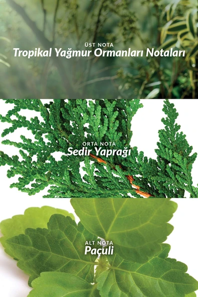 Musk Instinct Erkek Parfüm Edt 75 Ml. - Resim 3