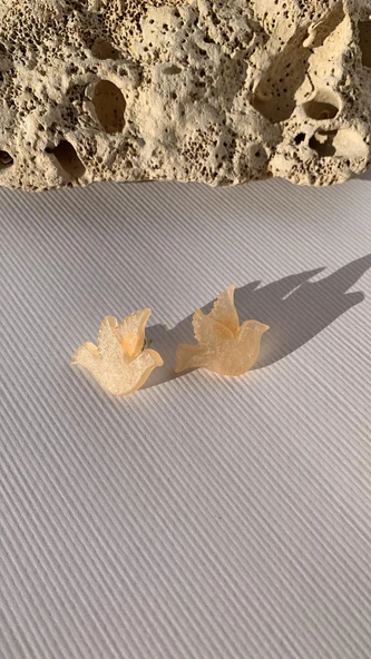Sedefli Parlak Turuncu Renkli Güvercin Şekil Gold Aksesuarlı Epoksi Küpe El Yapımı Hediyelik - Resim 5