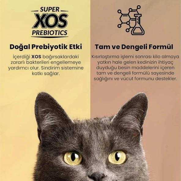 Reflex Plus Adult Somonlu Yetişkin Kedi Maması 1.5 Kg - 6