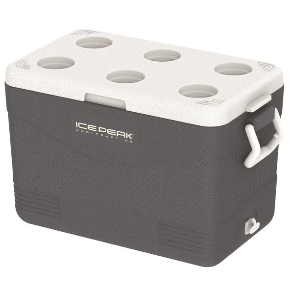 IcePeak CoolCraft 46 Buzluk 41.6 Litre-FÜME