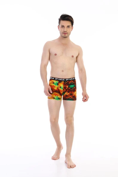 Erkek Renkli Yaprak Desenli Dijital Boxer 796