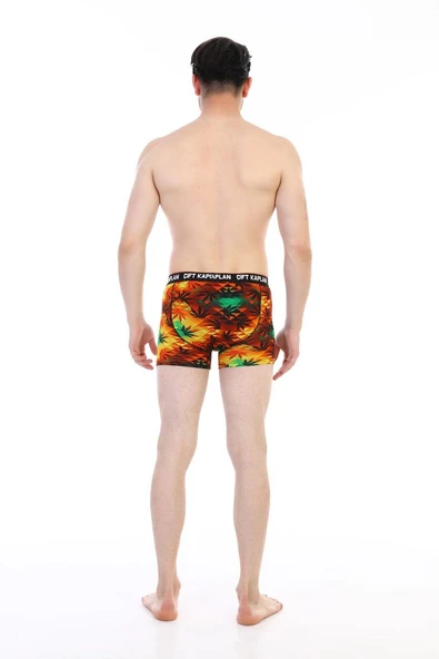 Erkek Renkli Yaprak Desenli Dijital Boxer 796 - 5