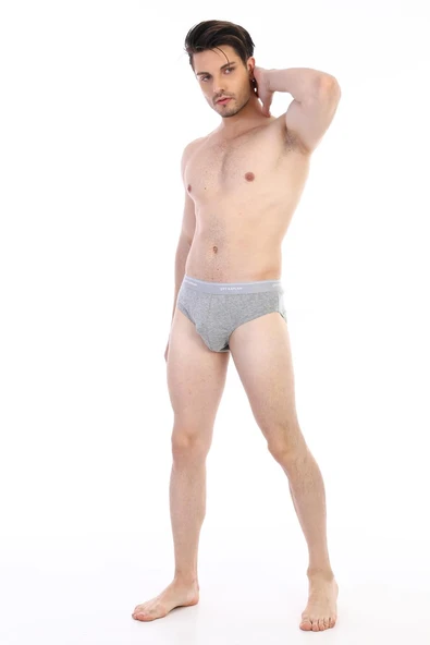 Erkek Ribana Klasik Gri Slip 870 - 3