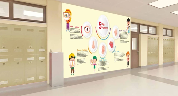 5 Duyu Organımız Okul Duvar Kağıdı - 2